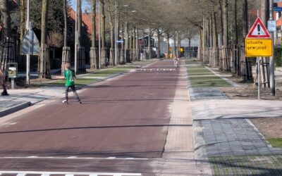 De groenste partijen van Amersfoort